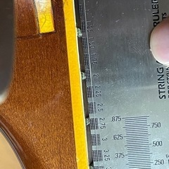 Epiphone Casino マツモク製　ブルーラベル