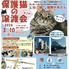 3/10保護猫の譲渡会withねこ組🐾福岡中央　読売センター原西部