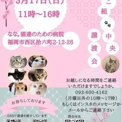 3/17  ねこ組🐾福岡中譲渡会atなな。猫達のための病院