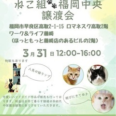 3/31   ねこ組🐾福岡中央譲渡会in藤崎