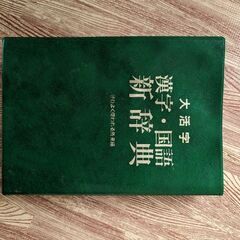 漢字国語新辞典