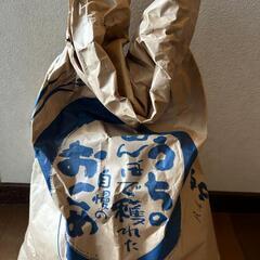 令和4年　ヒノヒカリ　お米　玄米　10kg