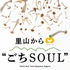 【総務マネージャー候補/月給30万円～！？】賞与（前年度実績：3...