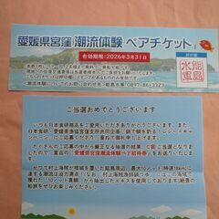 愛媛県宮窪　潮流体験ペアチケット遊覧クルージング