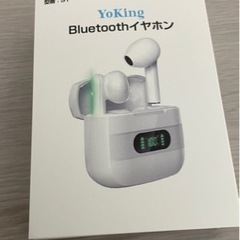 【特別セール】Bluetooth  5.3 ワイヤレスイヤホン（...