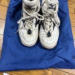 値下げしました‼️MIZUNO バスケシューズ　21