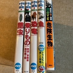 図鑑4冊セット　昆虫　恐竜　乗りもの　危険生物　小学館　講談社