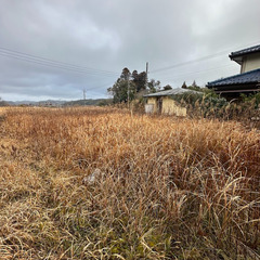 千葉県いすみ市の土地　を格安でお譲りいたします❕❕