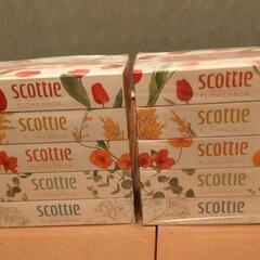 scottie  ティッシュペーパー　フラワーボックス　5箱×2
