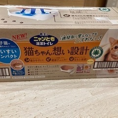 子猫、小さめ猫トイレ