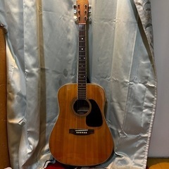 Takamine&Co アコースティックギター