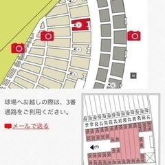 2024年阪神タイガース公式戦チケット　ホーム開幕戦