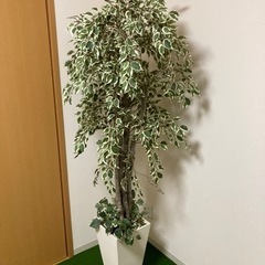 フェイクグリーン　観葉植物　180cm