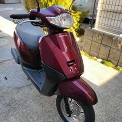 ホンダタクト　2024年1月バイク屋で購入