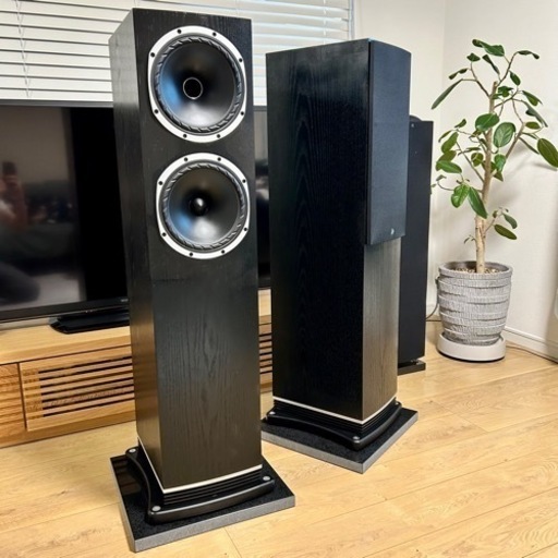 AUDIO F502 BO ファインオーディオ　ブラックオーク