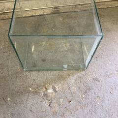 詳細不明 水槽 ガラス 30cm ガラス水槽 熱帯魚