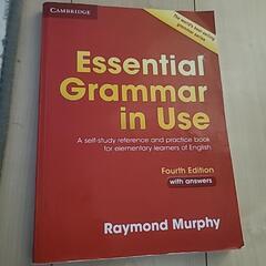 essential grammar in use 