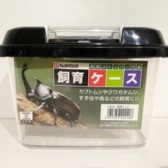 新品　昆虫飼育ケース