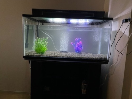 90cm水槽