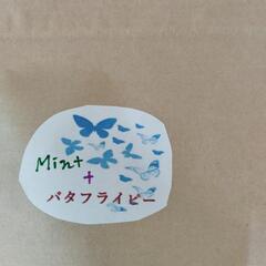 お茶（ミントバタフライピー）600円