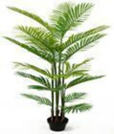 ⑬【処分価格】新品 アレカヤシ(160cm)　人工観葉植物 フェイクグリーン