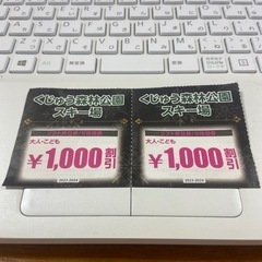 くじゅう森林公園スキー場 ¥1,000割引券 2枚 九重 くじゅ...
