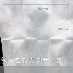 ③【業務用高級】FSX 使い捨て 紙おしぼり 抗ウイルス抗菌 平...