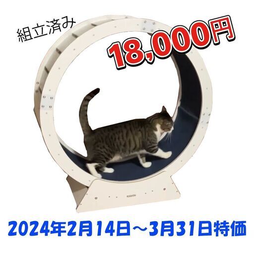 キャット ホイール（トレッドミル）