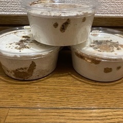 黒ドンキ　2令幼虫3頭