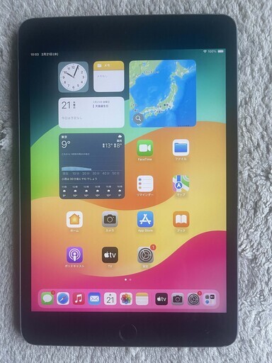 ipad mini５ A2124 silver wi-fi-cell ６４GBバッテリー１００%