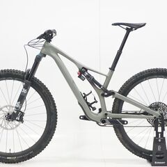 SPECIALIZED 「スペシャライズド」 STUMP JUMPER EXPERT CARBON 2020年