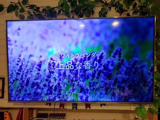 55型スマートテレビ ハイセンス 55A6500 2019年製 訳あり