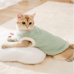 猫ちゃんの服(=^ェ^=)