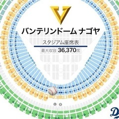 ３月３日(日) １３時半開始　１１時半開場⚾️