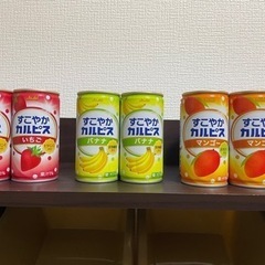 受け渡し決定【未開封】すこやかカルピス缶10本