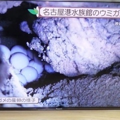 大画面55インチ　液晶テレビ