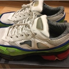 adidas raf simons ozweego2 激レア