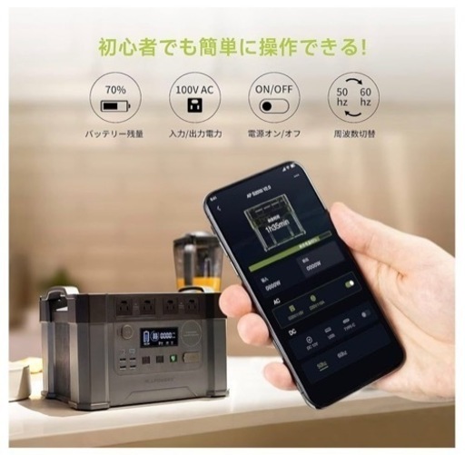 Wade社 英国アンティーク チェスターフィールド様式 総革ボタンダウン