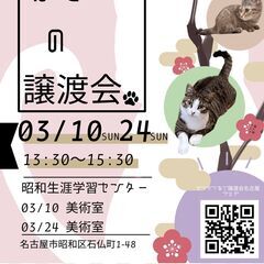 3/10(日)猫の譲渡会　in　名古屋市昭和生涯学習センター