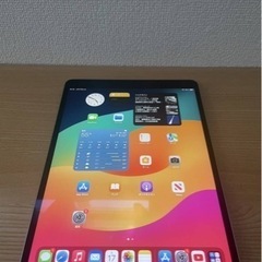 iPad Pro 10.5インチ64GB WiFi + Case