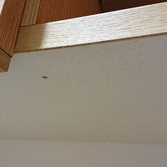 耐震ラッチ｜モイス付｜3枚扉キッチンボード｜食器棚