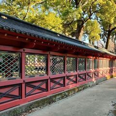 3/30～4/30 文京つつじまつり根津神社でキッチンカー出店者募集！ - イベント