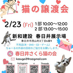 『猫の譲渡会』が2/23(金・祝)に開催されます。
