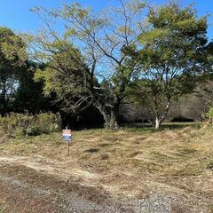 🌈売り土地　宗像市池田字下大王寺🌈Ｔ