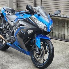 【ネット決済】ninja250 special edition abs