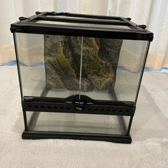 EXO TERRA エキゾテラ　爬虫類飼育ケージ　ガラス　30cm