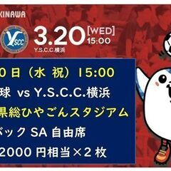最終値下げ■3/20(祝)ＦＣ琉球 vs Y.S.C.C.横浜2...