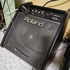 ROLAND PM100→ CM30 ROLAND PM100→ CM30