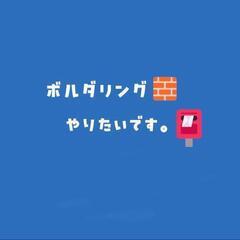 登れそうなら登りたくなる🐒