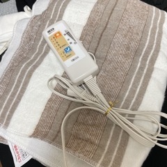 電気毛布 毛羽立ち有り 正常稼働